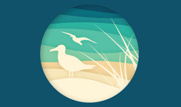 Friends of Elmwood Dunes Workday 8/7 - Wilmette Park District - Elmwood Dunes Preserve, Elmwood Ave, Wilmette, IL 60091, USA