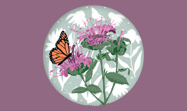 Keay Nature Center Workday 7/25 - Wilmette Park District - Keay Nature Learning Center, Hibbard Rd &, Skokie Blvd, Wilmette, IL 60091, USA