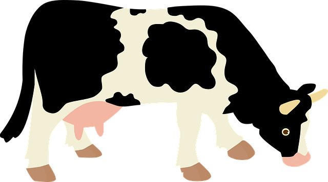 Dairy Month Story Time-Rocky Mount - Franklin County Public Library - Rocky Mount, VA 24151, USA